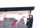 2021 Lexus Is300 Trim / Liner Front Driver Interior Door Panel Black 67620 53670 27 Replacement 2021 Lexus Is300 Trim / Liner Front Driver Interior Door Panel Black 67620 53670 27 Replacement thumbnail