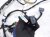 2018 Honda Odyssey Dash Instrument Wire Harness Tour 77961 THR 1B0 Replacement 2018 Honda Odyssey Dash Instrument Wire Harness Tour 77961 THR 1B0 Replacement thumbnail