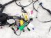2018 Honda Odyssey Dash Instrument Wire Harness Tour 77961 THR 1B0 Replacement 2018 Honda Odyssey Dash Instrument Wire Harness Tour 77961 THR 1B0 Replacement thumbnail