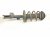 2017 Toyota Highlander Front Driver Strut Absorber + Spring 48520 OE310 Replacement 2017 Toyota Highlander Front Driver Strut Absorber + Spring 48520 OE310 Replacement thumbnail