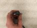 2025 Hyundai Sonata Lower Manifold Oxygen Sensor 39210 2S101 Replacement 2025 Hyundai Sonata Lower Manifold Oxygen Sensor 39210 2S101 Replacement thumbnail