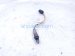 2018 Honda Odyssey Oxygen Front Exhaust Manifold Laf Sensor 36531 5MR A01 Replacement 2018 Honda Odyssey Oxygen Front Exhaust Manifold Laf Sensor 36531 5MR A01 Replacement thumbnail
