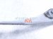 2019 Honda Civic Passenger Hood Hinge White Htbk 60120 TBA A00ZZ Replacement 2019 Honda Civic Passenger Hood Hinge White Htbk 60120 TBA A00ZZ Replacement thumbnail