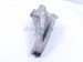 2018 Honda Odyssey Engine/motor Rear Engine Mount Brkt 3.5l Fwd 50630 TZ5 A01 Replacement 2018 Honda Odyssey Engine/motor Rear Engine Mount Brkt 3.5l Fwd 50630 TZ5 A01 Replacement thumbnail