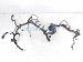 2018 Honda Odyssey Main Engine Wire Harness 3.5l At 32110 5MR A702 Replacement 2018 Honda Odyssey Main Engine Wire Harness 3.5l At 32110 5MR A702 Replacement thumbnail