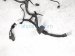 2018 Honda Odyssey Main Engine Wire Harness 3.5l At 32110 5MR A702 Replacement 2018 Honda Odyssey Main Engine Wire Harness 3.5l At 32110 5MR A702 Replacement thumbnail