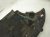 2015 Audi Q5 Audi Front Lower Engine Splash Shield 8R1 863 821 D Replacement 2015 Audi Q5 Audi Front Lower Engine Splash Shield 8R1 863 821 D Replacement thumbnail