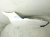 2019 Honda Civic Front Passenger Fender White 60211 TGG A00ZZ Replacement 2019 Honda Civic Front Passenger Fender White 60211 TGG A00ZZ Replacement thumbnail