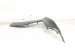2022 Subaru WRX Front Bumper Side Trim Silver 57756VC210 Replacement 2022 Subaru WRX Front Bumper Side Trim Silver 57756VC210 Replacement thumbnail
