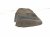 2023 Toyota Sienna Engine Appearance Cover Hybrid 12601 F0050 Replacement 2023 Toyota Sienna Engine Appearance Cover Hybrid 12601 F0050 Replacement thumbnail
