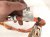 2025 BMW I4 High Voltage Battery Power Cable 61278846849 Replacement 2025 BMW I4 High Voltage Battery Power Cable 61278846849 Replacement thumbnail
