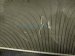 2018 Honda Odyssey Radiator 19010 5MR A01 Replacement 2018 Honda Odyssey Radiator 19010 5MR A01 Replacement thumbnail