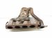 2023 Toyota Sienna Catalytic Exhaust Manifold W/conv 2.5l Hyb 17141 F0150 Replacement 2023 Toyota Sienna Catalytic Exhaust Manifold W/conv 2.5l Hyb 17141 F0150 Replacement thumbnail