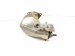 2022 Subaru WRX Catalytic Converter 2.4t Awd 44612AA981 Replacement 2022 Subaru WRX Catalytic Converter 2.4t Awd 44612AA981 Replacement thumbnail