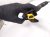 2025 Honda Civic Front Driver Seat Belt Pretensioner Black 81825 T20 A01ZA Replacement 2025 Honda Civic Front Driver Seat Belt Pretensioner Black 81825 T20 A01ZA Replacement thumbnail