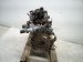 2019 Honda Civic Long Block Engine / Motor = 128k Mi 10002 5AA A04 Replacement 2019 Honda Civic Long Block Engine / Motor = 128k Mi 10002 5AA A04 Replacement thumbnail