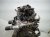 2019 Honda Civic Long Block Engine / Motor = 128k Mi 10002 5AA A04 Replacement 2019 Honda Civic Long Block Engine / Motor = 128k Mi 10002 5AA A04 Replacement thumbnail
