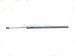 2025 Nissan Kicks Rear Driver Tailgate Shock Strut 90451 7LF0A Replacement 2025 Nissan Kicks Rear Driver Tailgate Shock Strut 90451 7LF0A Replacement thumbnail