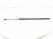 2025 Nissan Kicks Rear Driver Tailgate Shock Strut 90451 7LF0A Replacement 2025 Nissan Kicks Rear Driver Tailgate Shock Strut 90451 7LF0A Replacement thumbnail