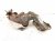 2025 Nissan Kicks Catalytic Exhaust Manifold W/conv 2.0l Fwd 140E2 7LK0A Replacement 2025 Nissan Kicks Catalytic Exhaust Manifold W/conv 2.0l Fwd 140E2 7LK0A Replacement thumbnail