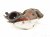 2025 Nissan Kicks Catalytic Exhaust Manifold W/conv 2.0l Fwd 140E2 7LK0A Replacement 2025 Nissan Kicks Catalytic Exhaust Manifold W/conv 2.0l Fwd 140E2 7LK0A Replacement thumbnail