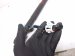 2026 Chevy Equinoxev Rear Tail Window Regulator Driver Power Liftgate Strut Actuator 85023500 Replacement 2026 Chevy Equinoxev Rear Tail Window Regulator Driver Power Liftgate Strut Actuator 85023500 Replacement thumbnail
