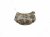 2022 Subaru WRX Core Front Passenger Brake Caliper 26292SJ002 Replacement 2022 Subaru WRX Core Front Passenger Brake Caliper 26292SJ002 Replacement thumbnail