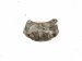 2022 Subaru WRX Core Front Passenger Brake Caliper 26292SJ002 Replacement 2022 Subaru WRX Core Front Passenger Brake Caliper 26292SJ002 Replacement thumbnail
