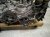2022 Subaru WRX Long Block Engine / Motor = 0k Mi 10100CF120 Replacement 2022 Subaru WRX Long Block Engine / Motor = 0k Mi 10100CF120 Replacement thumbnail