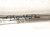 2022 Subaru WRX Shaft Steering Column Assy M.t 2.4l 34500FL020 Replacement 2022 Subaru WRX Shaft Steering Column Assy M.t 2.4l 34500FL020 Replacement thumbnail
