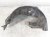 2019 Subaru WRX Rear Passenger Inner Fender Liner 59122VA000 Replacement 2019 Subaru WRX Rear Passenger Inner Fender Liner 59122VA000 Replacement thumbnail