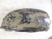 2019 Subaru WRX Rear Passenger Inner Fender Liner 59122VA000 Replacement 2019 Subaru WRX Rear Passenger Inner Fender Liner 59122VA000 Replacement thumbnail