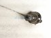 2025 Hyundai Sonata Rear Driver Cv Axle Drive Shaft 49600 L8000 Replacement 2025 Hyundai Sonata Rear Driver Cv Axle Drive Shaft 49600 L8000 Replacement thumbnail