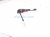 2026 Chevy Equinoxev Front Passenger Seat Belt Pretensioner Black 84916505 Replacement 2026 Chevy Equinoxev Front Passenger Seat Belt Pretensioner Black 84916505 Replacement thumbnail