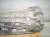 2024 Ford Mustang Automatic Transmission = Mi RFJR3P 7006 NA Replacement 2024 Ford Mustang Automatic Transmission = Mi RFJR3P 7006 NA Replacement thumbnail