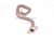2025 Honda CR V Egr Pipe 2.0l Hybrid 18717 6MA J00 Replacement 2025 Honda CR V Egr Pipe 2.0l Hybrid 18717 6MA J00 Replacement thumbnail