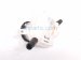 2025 Honda CR V Power Booster Brake Master Reservoir 2.0l 46661 3D4 A00 Replacement 2025 Honda CR V Power Booster Brake Master Reservoir 2.0l 46661 3D4 A00 Replacement thumbnail