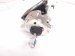 2025 Honda CR V Power Booster Brake Master Cylinder W/reservoir 46925 TA0 305 Replacement 2025 Honda CR V Power Booster Brake Master Cylinder W/reservoir 46925 TA0 305 Replacement thumbnail