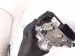 2025 Honda CR V Power Booster Brake Master Cylinder W/reservoir 46925 TA0 305 Replacement 2025 Honda CR V Power Booster Brake Master Cylinder W/reservoir 46925 TA0 305 Replacement thumbnail