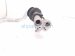 2012 Audi A6 Audi Ac Pipe A/c Refrigerant Line Hose 4G1260712F Replacement 2012 Audi A6 Audi Ac Pipe A/c Refrigerant Line Hose 4G1260712F Replacement thumbnail