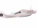 2023 Honda CR V Rear Passenger Spring Seat Lower Control Arm 52350 TLA A52 Replacement 2023 Honda CR V Rear Passenger Spring Seat Lower Control Arm 52350 TLA A52 Replacement thumbnail