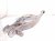 2023 Honda CR V Rear Passenger Spring Seat Lower Control Arm 52350 TLA A52 Replacement 2023 Honda CR V Rear Passenger Spring Seat Lower Control Arm 52350 TLA A52 Replacement thumbnail
