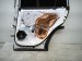 2021 Toyota Rav 4 Rear Passenger Door White No Inside Trim 67003 0R121 Replacement 2021 Toyota Rav 4 Rear Passenger Door White No Inside Trim 67003 0R121 Replacement thumbnail