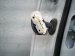 2021 Toyota Rav 4 Rear Passenger Door White No Inside Trim 67003 0R121 Replacement 2021 Toyota Rav 4 Rear Passenger Door White No Inside Trim 67003 0R121 Replacement thumbnail