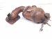 2018 Toyota Sienna Catalytic Front Exhaust Manifold W/conv 3.5l 17150 0P331 Replacement 2018 Toyota Sienna Catalytic Front Exhaust Manifold W/conv 3.5l 17150 0P331 Replacement thumbnail
