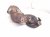 2018 Toyota Sienna Catalytic Front Exhaust Manifold W/conv 3.5l 17150 0P331 Replacement 2018 Toyota Sienna Catalytic Front Exhaust Manifold W/conv 3.5l 17150 0P331 Replacement thumbnail