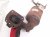 2018 Toyota Sienna Catalytic Front Exhaust Manifold W/conv 3.5l 17150 0P331 Replacement 2018 Toyota Sienna Catalytic Front Exhaust Manifold W/conv 3.5l 17150 0P331 Replacement thumbnail
