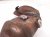 2018 Toyota Sienna Catalytic Front Exhaust Manifold W/conv 3.5l 17150 0P331 Replacement 2018 Toyota Sienna Catalytic Front Exhaust Manifold W/conv 3.5l 17150 0P331 Replacement thumbnail