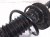 2026 Nissan Sentra Front Driver Strut Absorber + Spring E4303 6LB1B Replacement 2026 Nissan Sentra Front Driver Strut Absorber + Spring E4303 6LB1B Replacement thumbnail