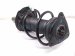 2026 Nissan Sentra Front Passenger Strut Absorber + Spring 51611 T3Z A02 Replacement 2026 Nissan Sentra Front Passenger Strut Absorber + Spring 51611 T3Z A02 Replacement thumbnail